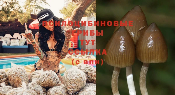 каннабис Арсеньев