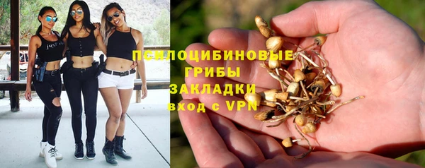 каннабис Арсеньев