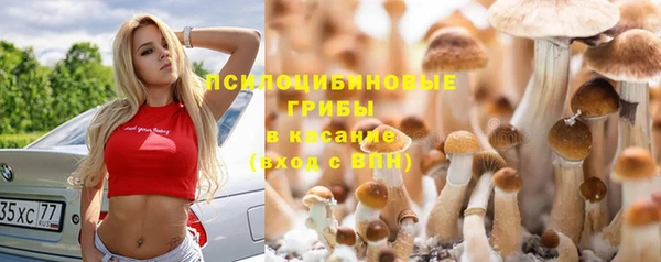 каннабис Арсеньев